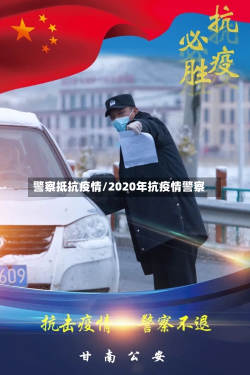 警察抵抗疫情/2020年抗疫情警察