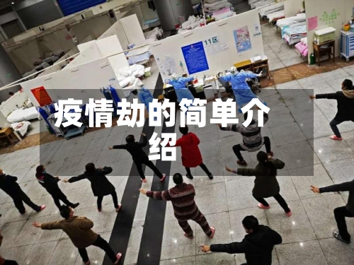 疫情劫的简单介绍