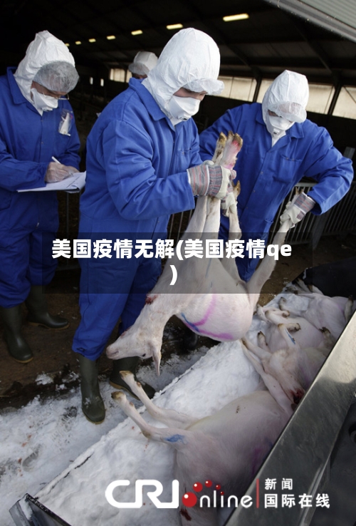 美国疫情无解(美国疫情qe)