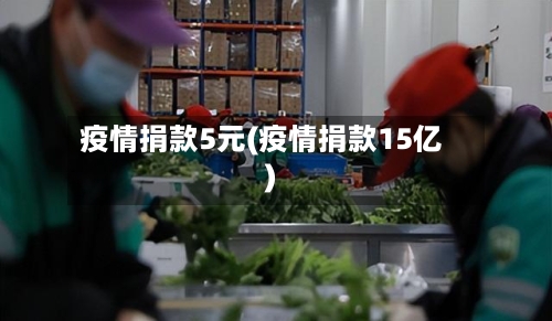 疫情捐款5元(疫情捐款15亿)