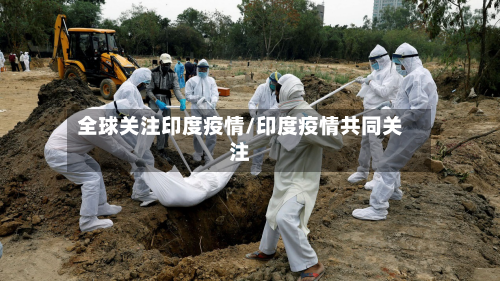 全球关注印度疫情/印度疫情共同关注