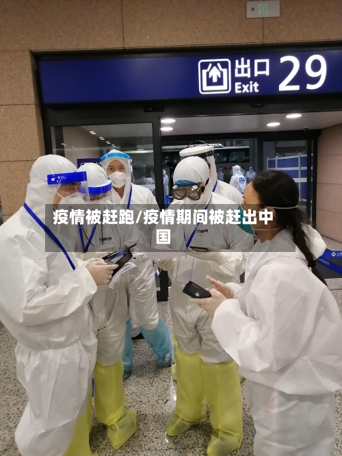疫情被赶跑/疫情期间被赶出中国