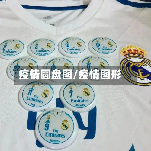 疫情圆盘图/疫情图形