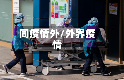 同疫情外/外界疫情