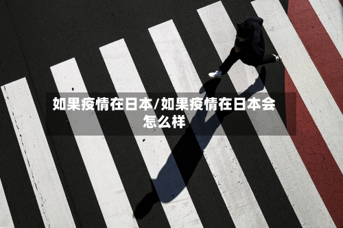 如果疫情在日本/如果疫情在日本会怎么样