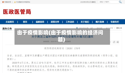 由于疫情影响(由于疫情影响的经济问题)